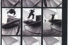 24 Bs flip Birdhouse ad